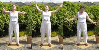 free qigong  exercise- - roc spreads it's wings