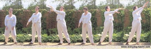qigong exercise wild goose looks for food
